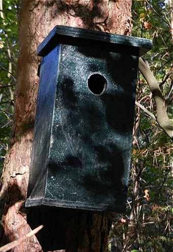 Alles over geocaching: Een nestkast